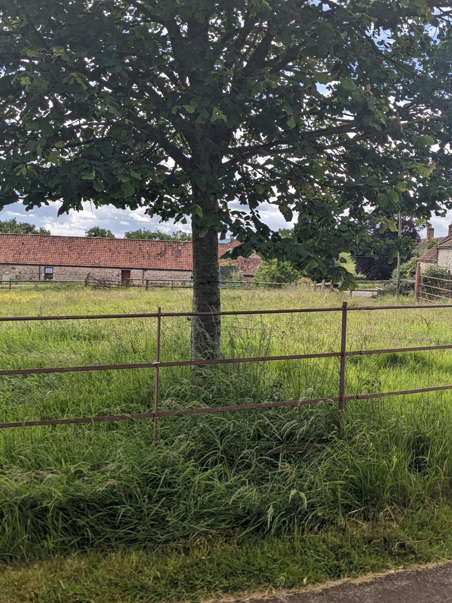 Redhill  Regilbury Court, Grooms House מראה חיצוני תמונה